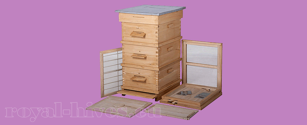 Langstroth beehive