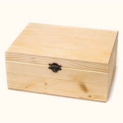 Голяма универсална кутия B06 — 30 × 21 × 13 cm
