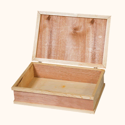 Извънгабаритна кутия за съхранение B20 — 41 × 28 × 11 cm