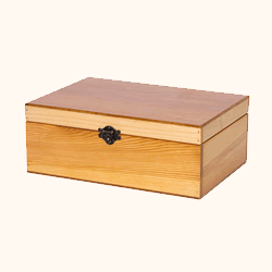 Geschenkbox mit Klappdeckel B25 — 30 × 21 × 11 cm